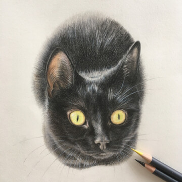 Boo, tekening kleurpotlood  21 x 21 cm